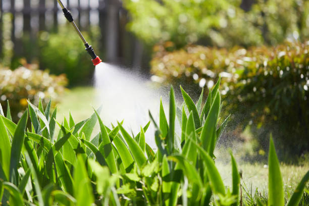 24/7 Emergency Fumigation Services experts in Campbellsburg, KY