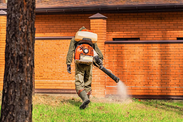 Trusted Termite Control service in Campbellsburg, KY - Nex Pest Control